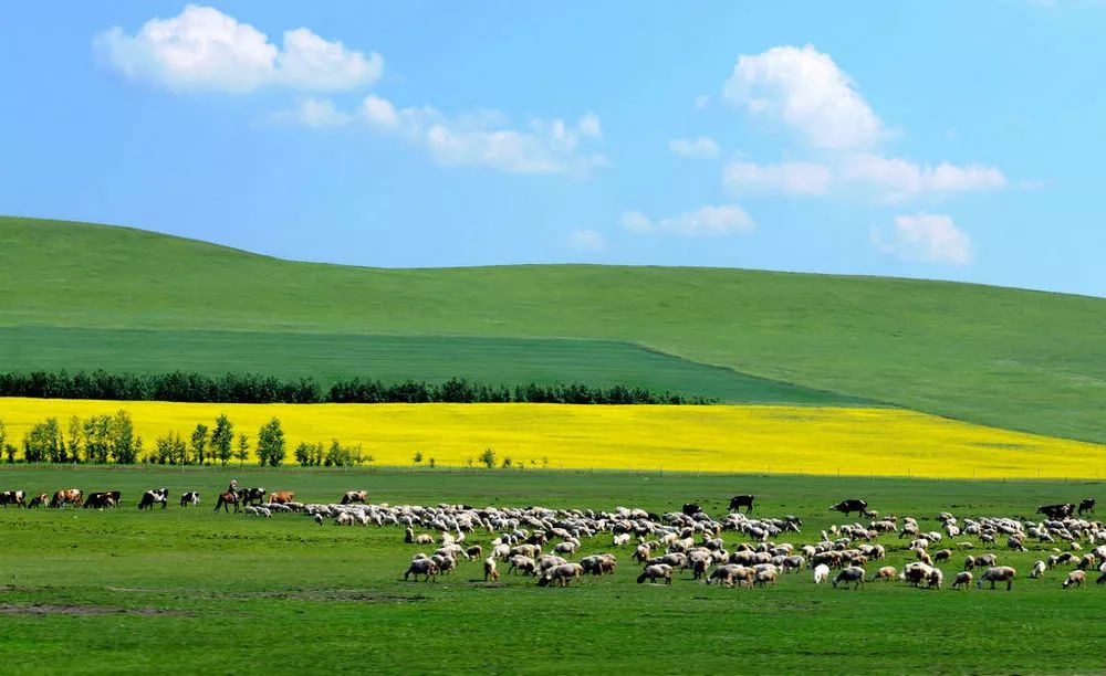探寻内蒙古的壮美风光