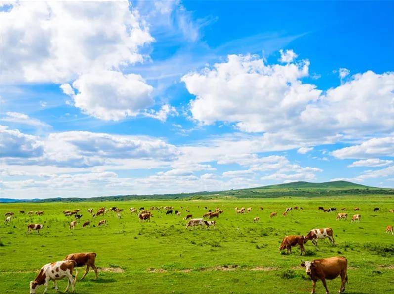 探寻内蒙古的壮美风光