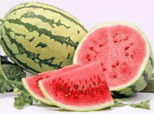 宁夏,多元文化交融的璀璨明珠