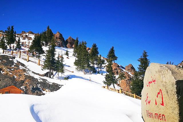 新疆之旅,初学者轻松解锁新疆特色体验