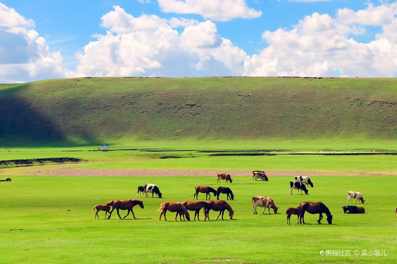 呼伦贝尔,草原诗篇的韵味天地