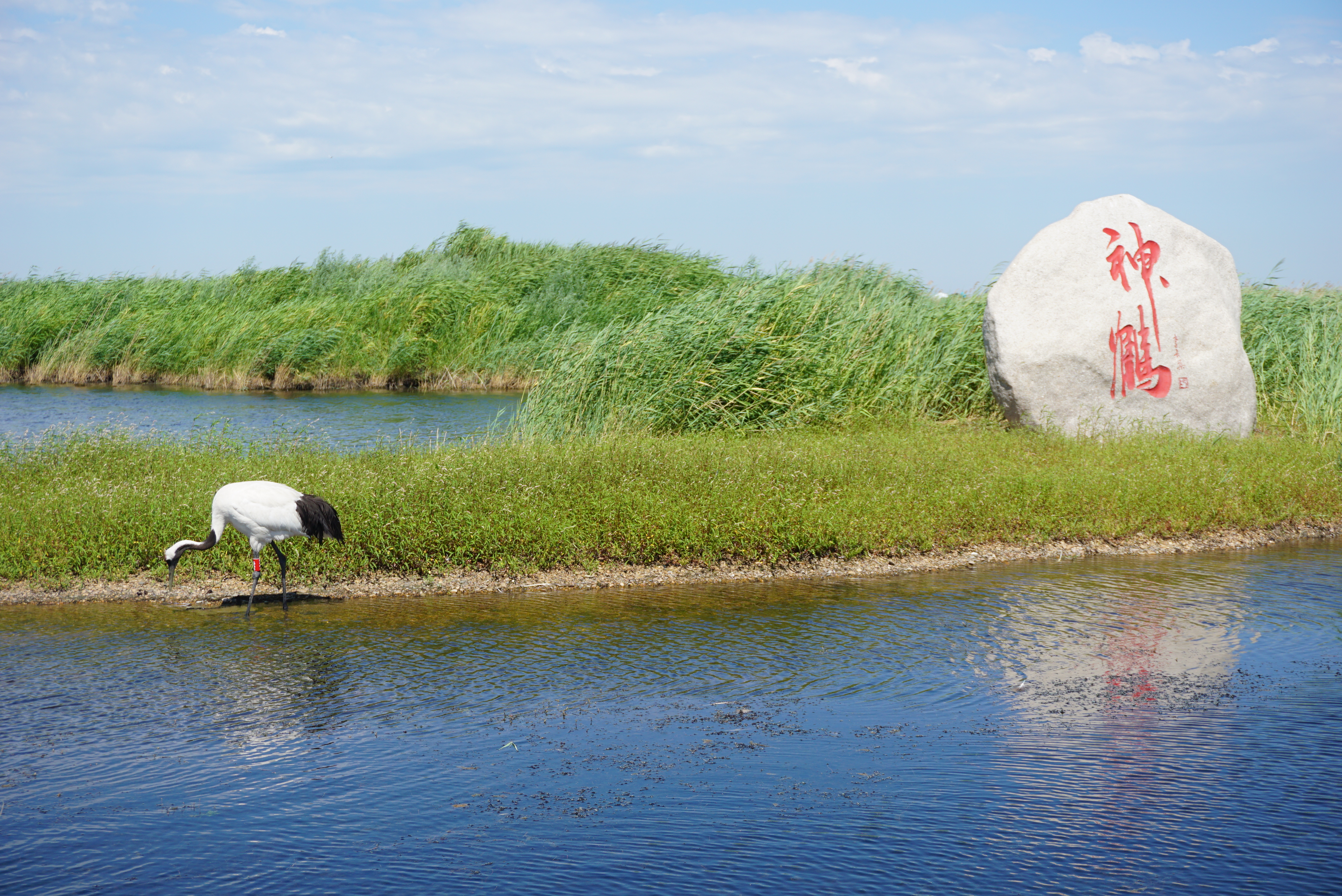 运城盛会，尊敬的领导与朋友们共聚一堂