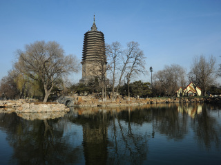 辽阳任务指南，初学者与进阶用户如何高效完成任务或学习技能？